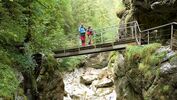 OD 0308 Allgäu Starzlachklamm – Grünten