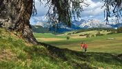 OD Südtirol Seiser Alm 3