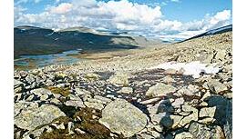 OD Weites Land: Dovrefjell in Norwegen