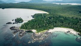 Hügelige Insel mit Bucht, Tannenwald, Kanada, Tofino, Vancouver Island