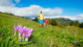 OD 2019 fruehling-familie-wandern-COLOURBOX28656045.jpg