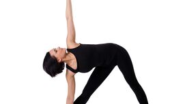 AL-Yoga-Dreieck-shutterstock-fuer-burmester-0113-shutterstock_76537429 (jpg)