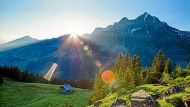 Adelboden: Bergpanorama mit Wald