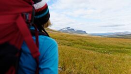 Wildnis-Trekking im Sarek 41