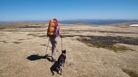 Wandern mit Hund, Tourenplanung und Ausrüstung 