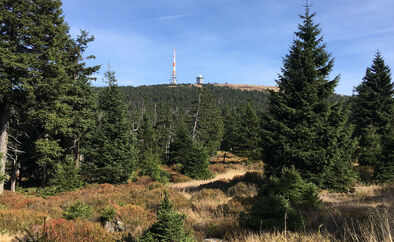 Karstwanderweg, Harz