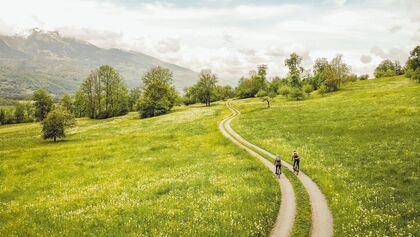 Liechtenstein-Weg-bei-Bofel-in-Triesen