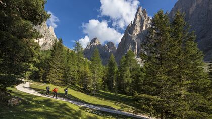 od-0218-dolomiten-langkofel-5 (jpg)