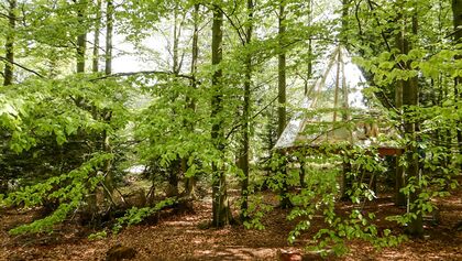 Baumhäuser Bad Herrenalb und Bad Teinach 