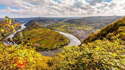 Der Bremmer Calmont - Weinanlage am Moselsteig