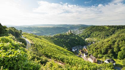 Moselsteig - Rheinland-Pfalz