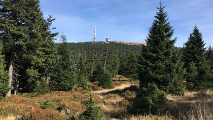 Karstwanderweg, Harz