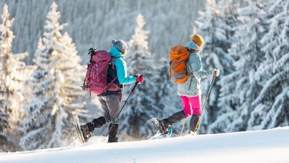 Schneeschuhwandern im Winter