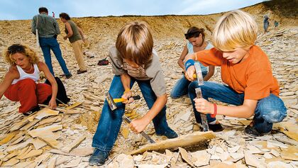 od-2019-bayern-family-npa-0367-naturpark-altmuehltal-fossiliensuche-mit-TEASER-frankentourismus-alt-hub(jpg)