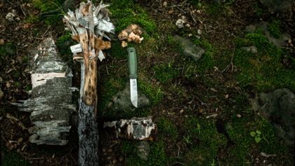 Basislager: Bushcraft - Fackel bauen