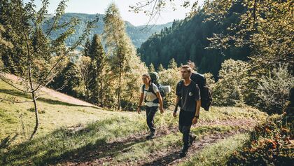 Schwarzwald Zweitälersteig OD 12/2021