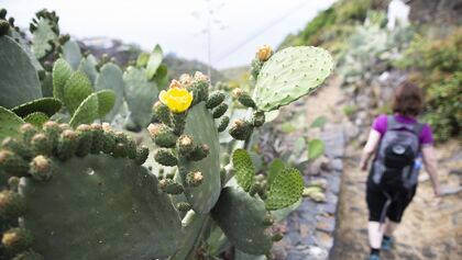 Wandern auf La Palma - Kanaren