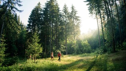 od-0918-baden-wurttemberg-bw-special-schwarzwald-trekking-03 (jpg)