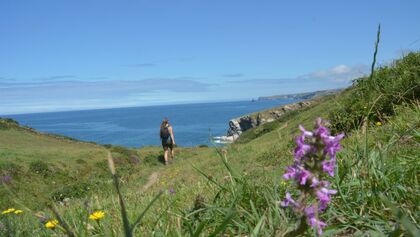 od-2014-england-South West Coast Path_03 (jpg)