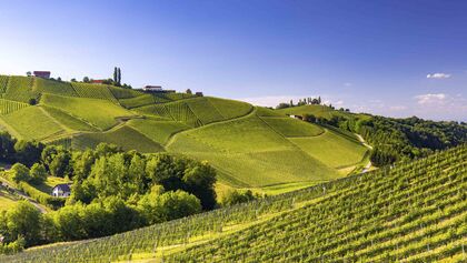 Steiermark Österreich Südsteiermark Wein Weinberge Steirische Toskana