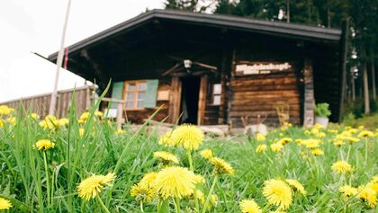 OD 2018 Hündeleskopfhütte Allgäu Pfronten vegetarische berghütte