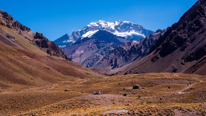 Bergpark Aconcagua - Anden - Argentinien