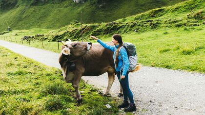 GettyImages/Anastasiia Shavshyna: Wanderfrau streichelt Kuh in den Bergen der Schweiz 