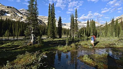 od-0117-kanada-yoho-national-park-president-range (jpg)