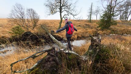 Wandern in der Eifel - rund um Monschau