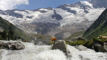 OD 0111 Reise Nationalparks Oesterreich Hohe Tauern (jpg)