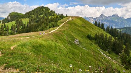 Bergsommer im Tannheimer Tal