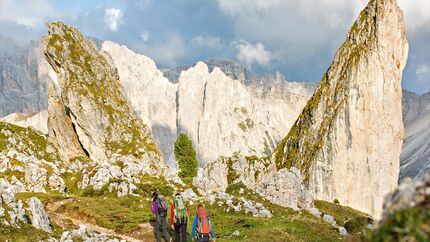 OD 1115 Woman Südtirol Dolomiten Pieralongia Felsen