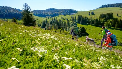 07/2021: Reportage Schwarzwald Wiesental 