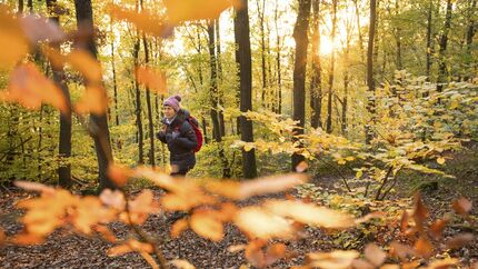 Wilde Wege rund um Monschau in der Eifel