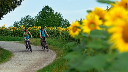 OD 0313 Radfahren Fahrrad radtouren radwanderwege frühjahr frühling