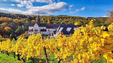 Kloster Eberbach im Rheingau