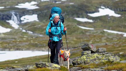 OD 2016 Trekking mit Hund Hardangervidda Norwegen