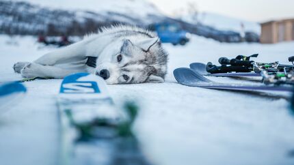 Schweden Jämtland