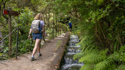 Levada Madeira Insel Portugal Wandern Urlaub