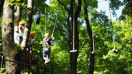 od-2017-rheinland-pfalz-special.Kletterwald Bad Marienberg 2_(c)_G.Frijio (jpg)