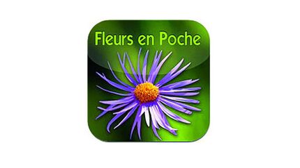 OD-1012-Apps-iBlumen-logo (jpg)