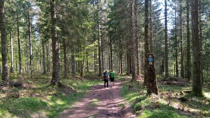 Westweg Wanderung 2019