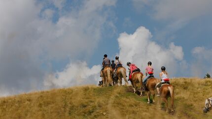 od-2018-idm-suedtirol-haflinger (jpg)