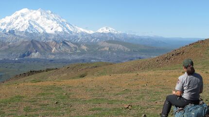 Denali - Alaska - USA - 