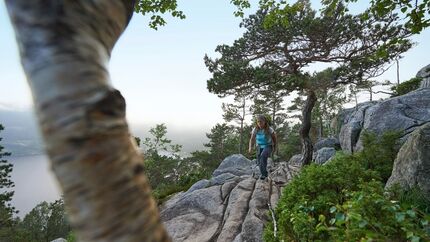 Wandern in Norwegen - am Lysefjord