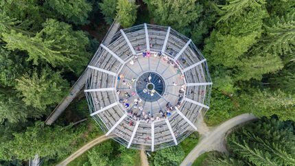 Deutschland Superlative der Outdoor-Welt - Baumwipfelpfad bei Neuschönau