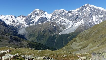 OD 2019 Südtirol Ortler Blick von der Düsseldorfer Hütte