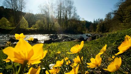 Schweiz Naturparks- und Schutzgebiete