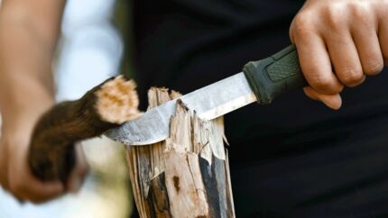 Basislager: Bushcraft - Fackel bauen