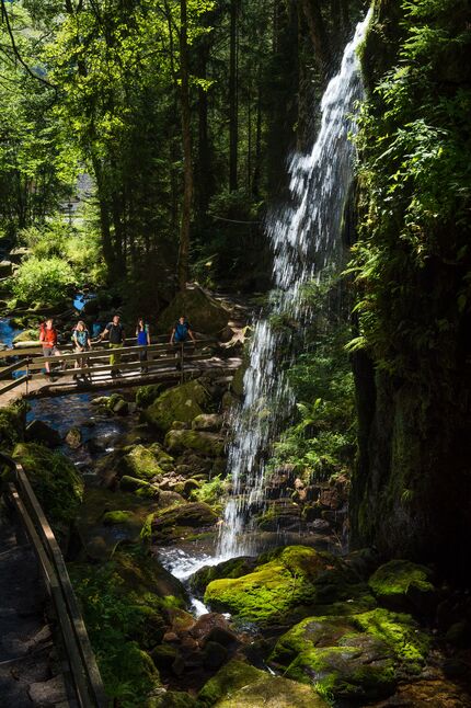 Auf dem Albsteig im Schwarzwald